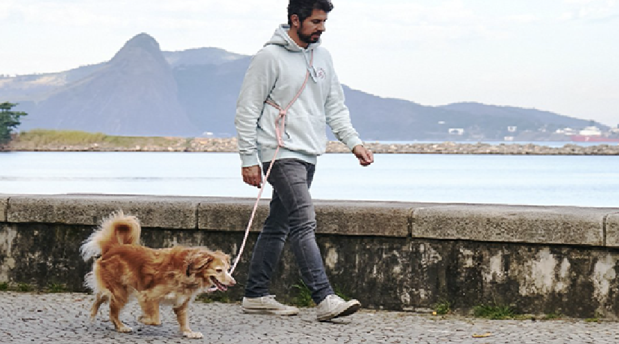 巴西宠物商店「Zee.Dog」获1880万美金融资，想要做宠物领域的潮牌